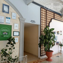 фото из отзыва ID 2113408