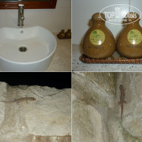 фото из отзыва ID 2113446