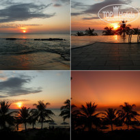 фото из отзыва ID 2113446