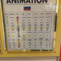 фото из отзыва ID 2113474