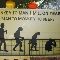 фото из отзыва ID 2113446