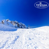 фото из отзыва ID 2113503