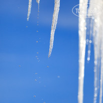 фото из отзыва ID 2113503