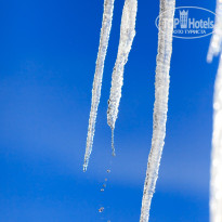 фото из отзыва ID 2113503