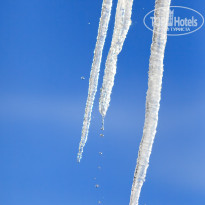 фото из отзыва ID 2113503