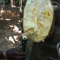 фото из отзыва ID 2113510