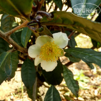 фото из отзыва ID 2113510