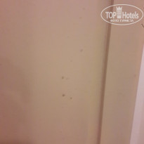 фото из отзыва ID 2113545