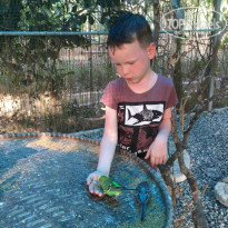 фото из отзыва ID 2113634