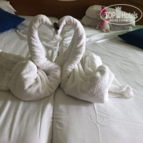 фото из отзыва ID 2113671