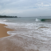 фото из отзыва ID 2113693