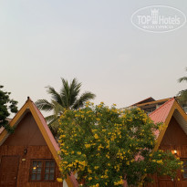 фото из отзыва ID 2113699