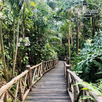 фото из отзыва ID 2113702