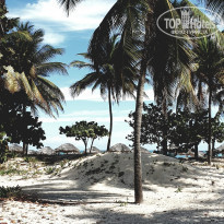 фото из отзыва ID 2113738