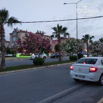 фото из отзыва ID 2113757