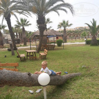 фото из отзыва ID 2113767