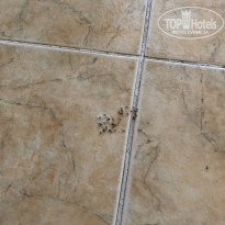 фото из отзыва ID 2113774