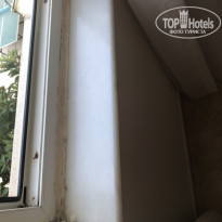 фото из отзыва ID 2113774