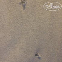 фото из отзыва ID 2113783