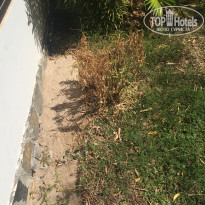 фото из отзыва ID 2113783