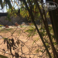 фото из отзыва ID 2113783