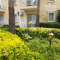 фото из отзыва ID 2113821