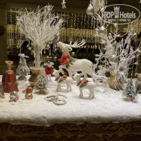 фото из отзыва ID 2113848