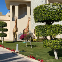 фото из отзыва ID 2113949