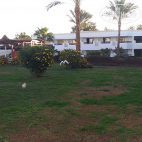 фото из отзыва ID 2113957