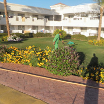 фото из отзыва ID 2113957