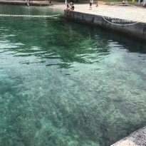 фото из отзыва ID 2114024