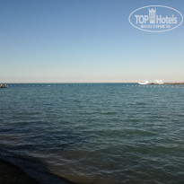 фото из отзыва ID 2114120