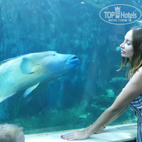 фото из отзыва ID 2114271