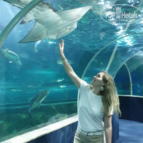 фото из отзыва ID 2114271