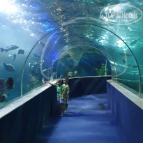 фото из отзыва ID 2114271