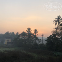 фото из отзыва ID 2114307