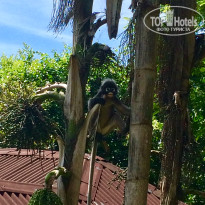 фото из отзыва ID 2114286