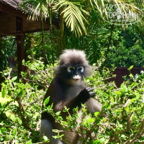 фото из отзыва ID 2114286