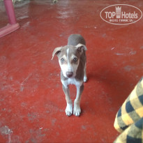 фото из отзыва ID 2114455