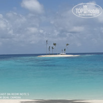 фото из отзыва ID 2114622