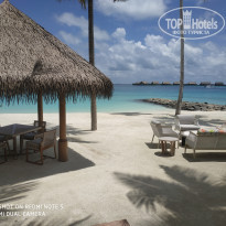 фото из отзыва ID 2114622