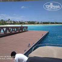 фото из отзыва ID 2114622