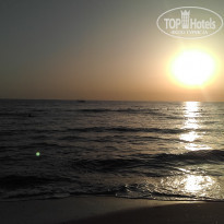 фото из отзыва ID 2113192