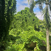 фото из отзыва ID 2114789