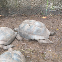 фото из отзыва ID 2114789