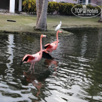 фото из отзыва ID 2114791