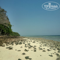 фото из отзыва ID 2114784