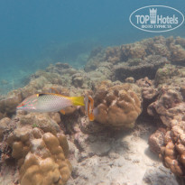 фото из отзыва ID 2114784