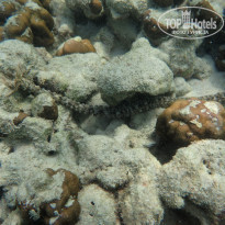 фото из отзыва ID 2114784