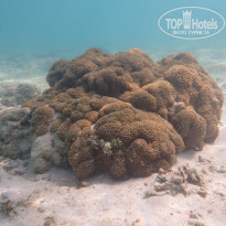 фото из отзыва ID 2114784